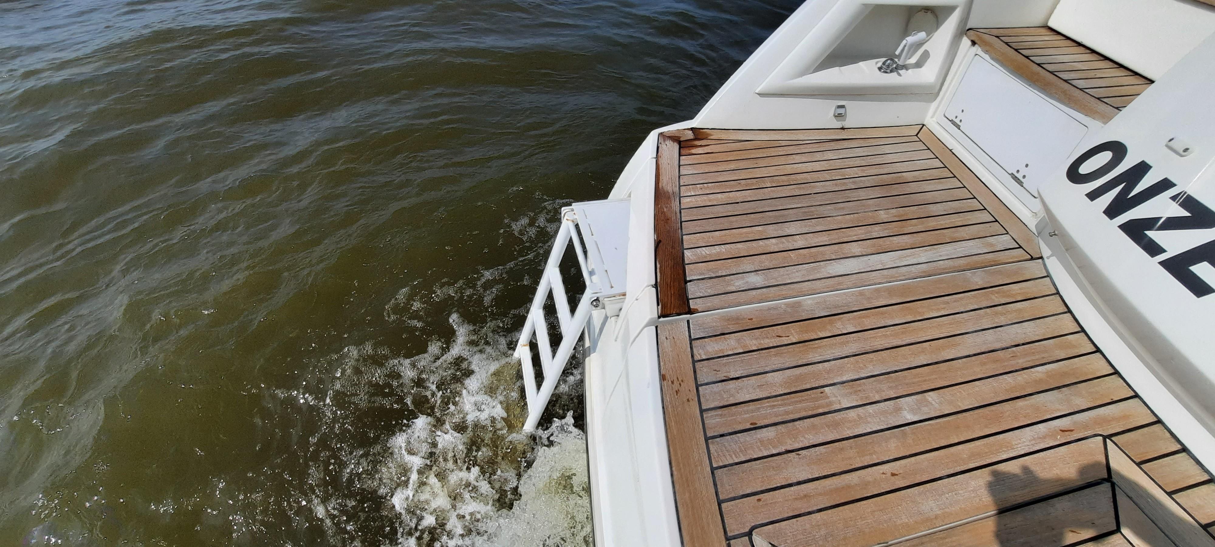 Sessa Marine C46 — foto 5 van 46