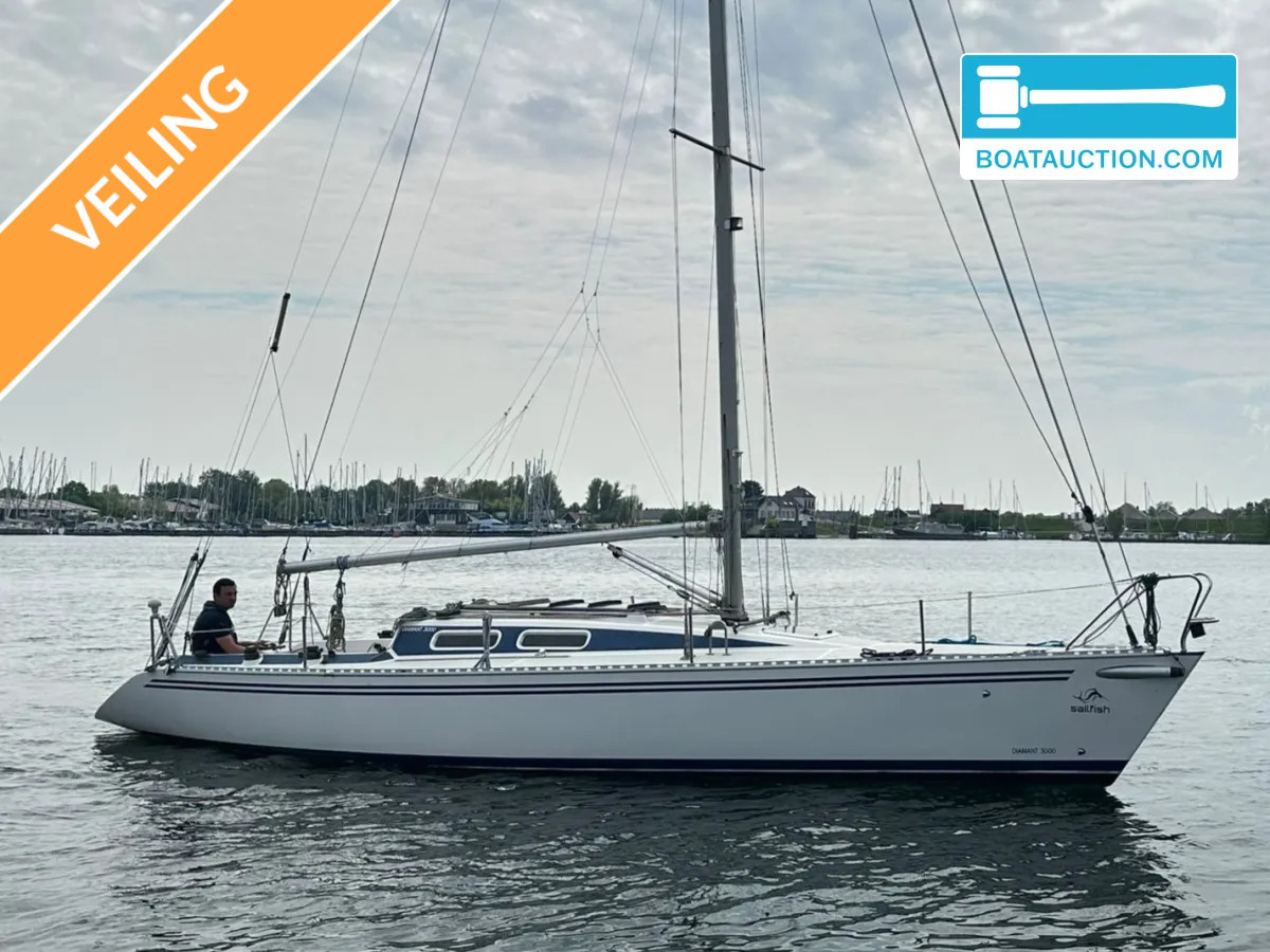 Diamant 3000 nu in de online veiling. — foto 1 van 67
