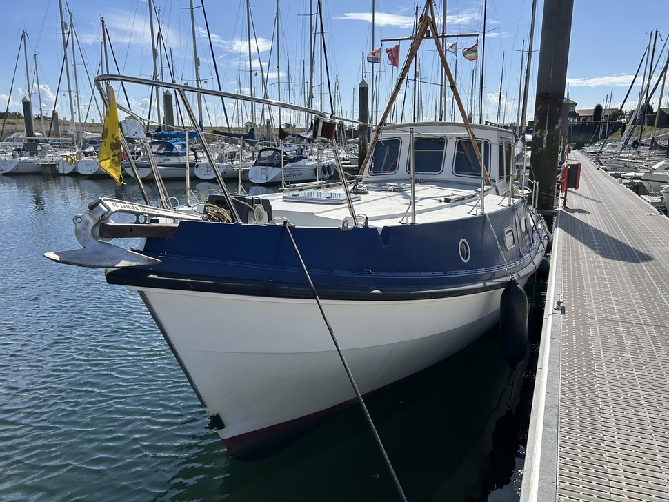 Rogger FD2 — foto 11 van 12