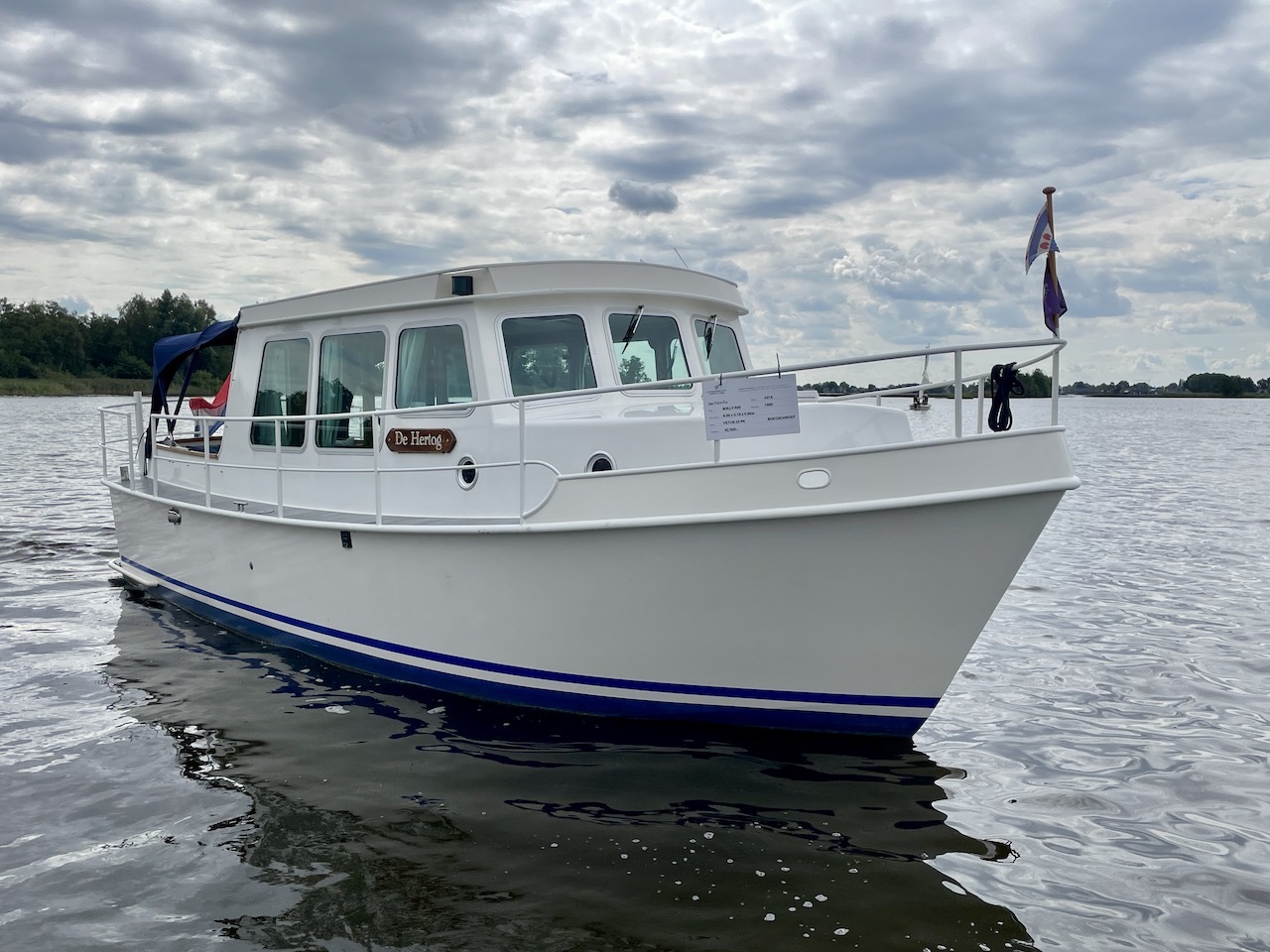 Bully 800 — foto 8 van 28