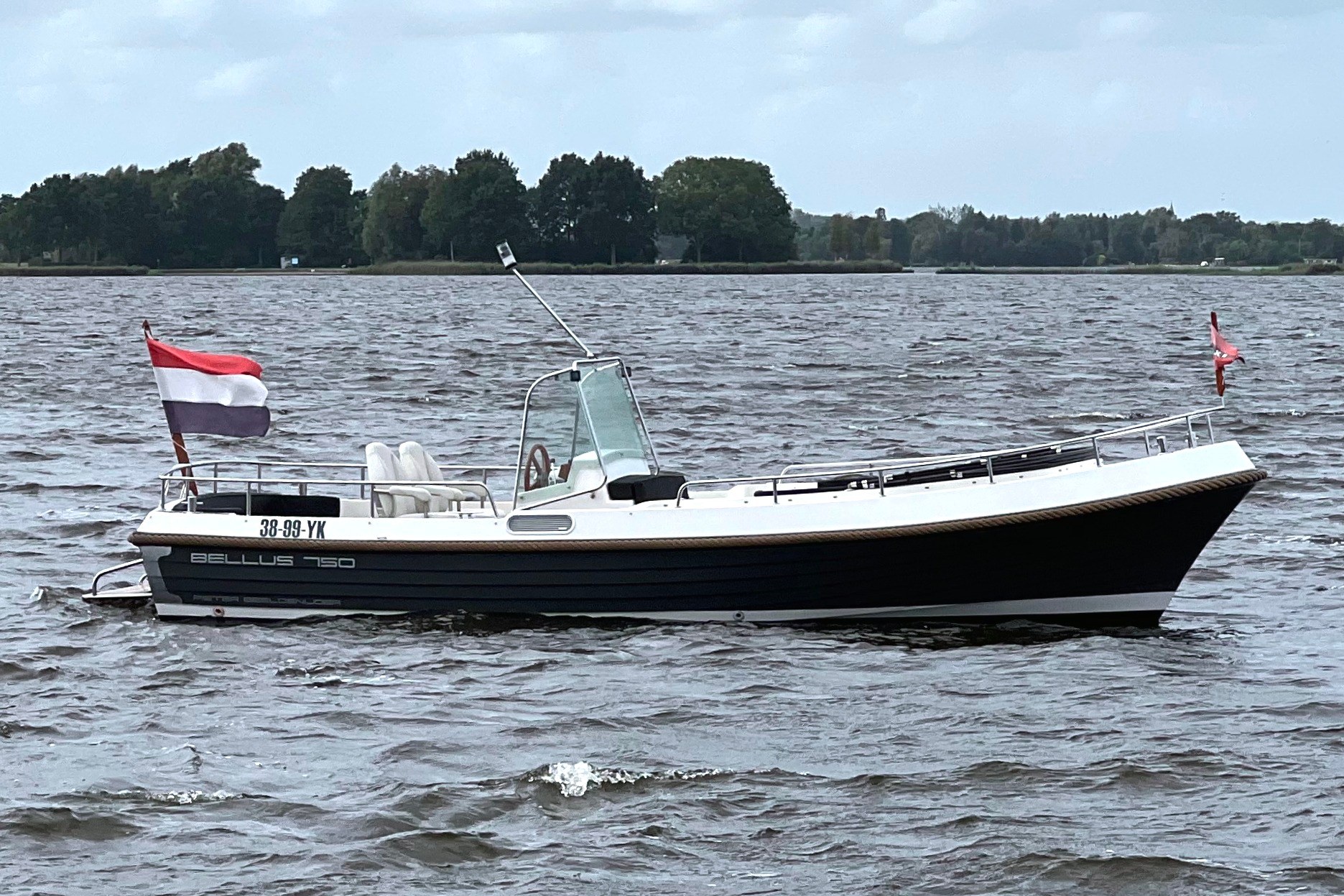 Bellus 750 Pieter Beeldsnijder — foto 7 van 27
