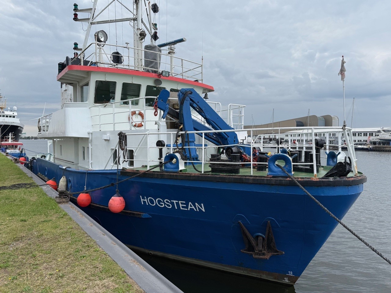 Offshore 26.00 — foto 3 van 16