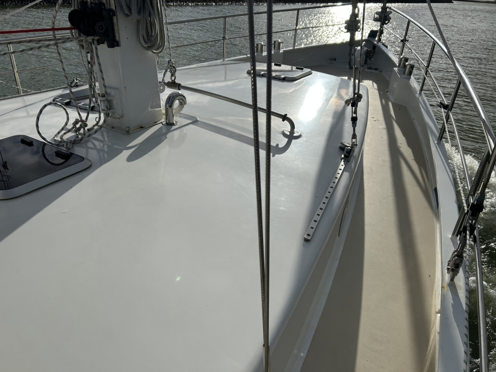 Noordkaper 42 (Gedupliceerd) (Gedupliceerd) — foto 14 van 61