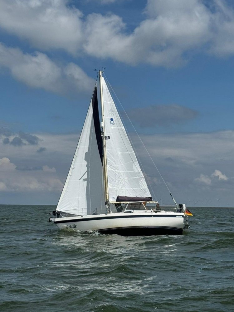 Contest - Sailing Yacht - GRP (Polyester) - 1979 - € 49.900 — foto 5 van 11