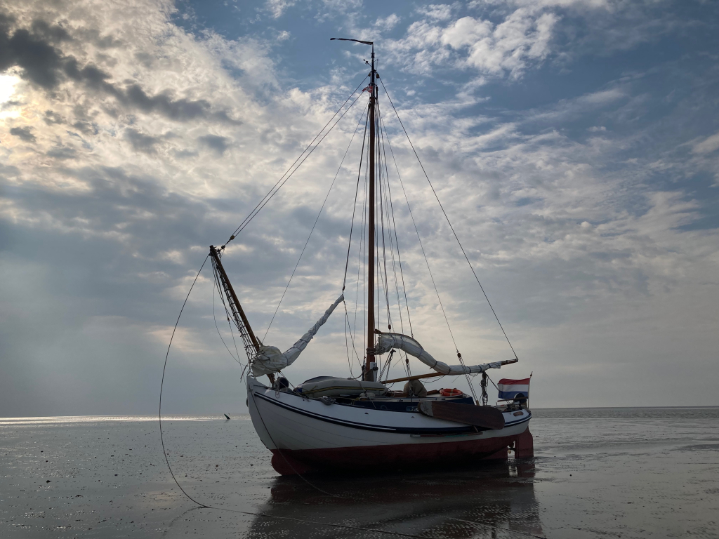 Lemsteraak Roefmodel 1010 - Dolfijn — foto 6 van 39