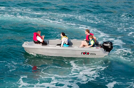 Roto Hydra 450 Basic - Foto 2