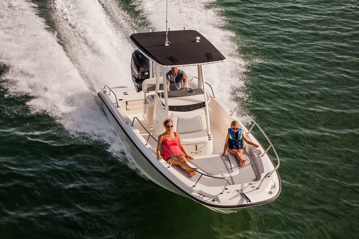 Boston Whaler 250 Dauntless — foto 2 van 12