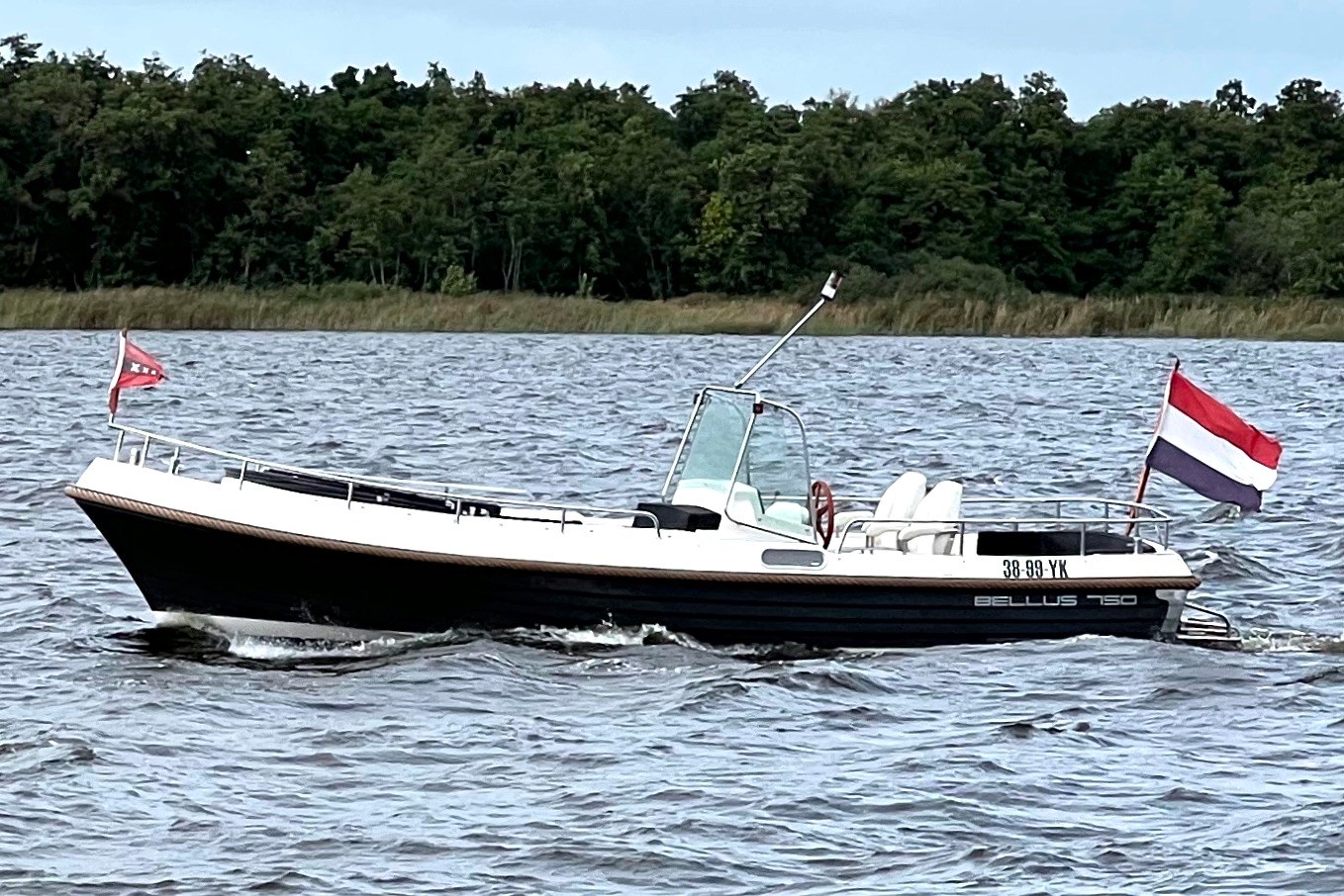 Bellus 750 Pieter Beeldsnijder — foto 4 van 27