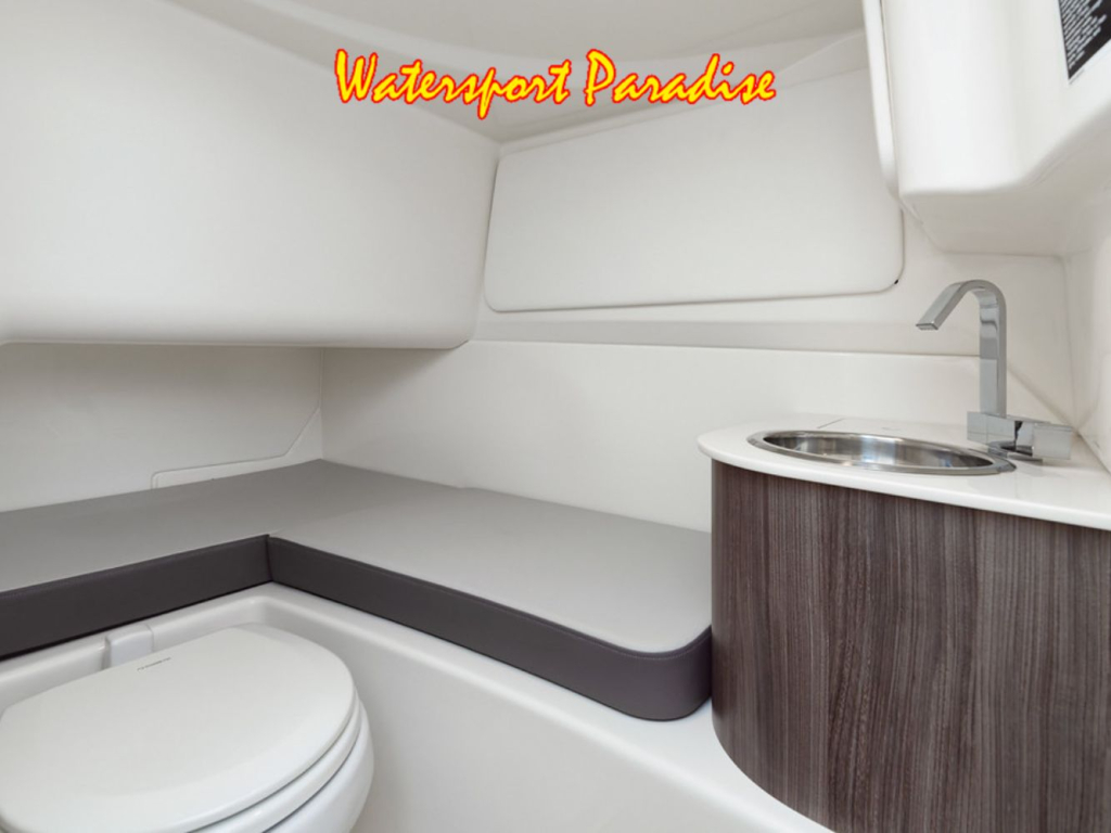 Sea Ray SDX 270 — foto 7 van 8
