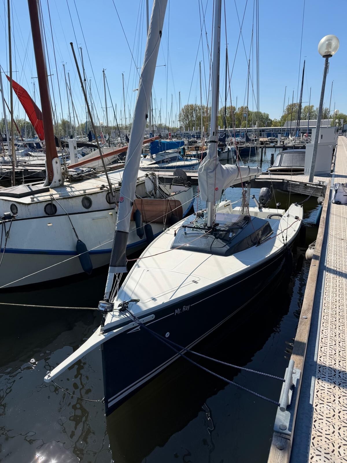 Pointer 22