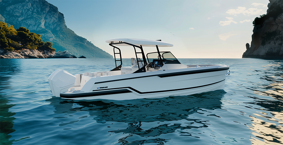 WELLCRAFT28 T-Top Sport