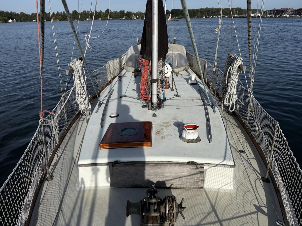 ORCA 38 — foto 56 van 74