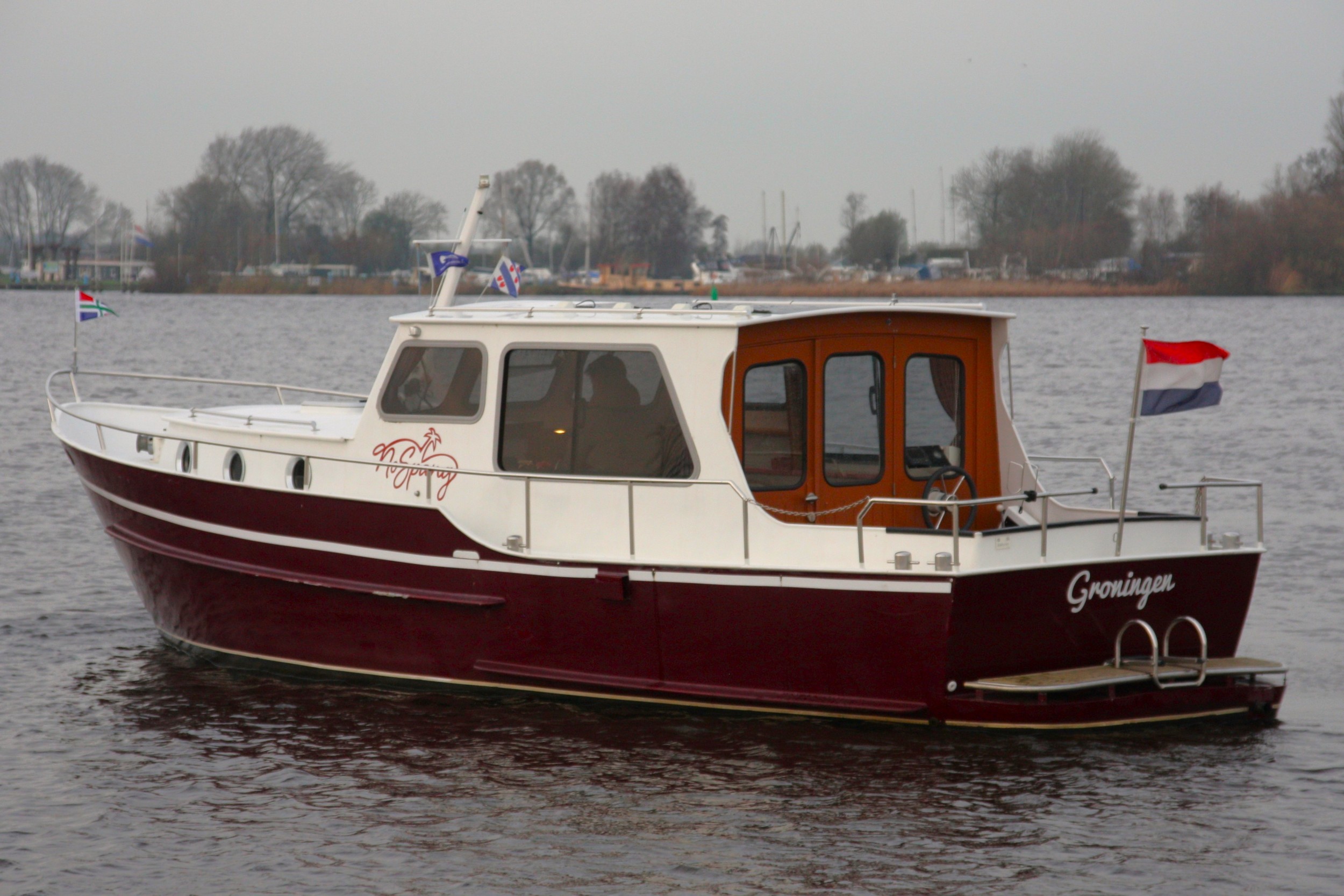 Burgemermeer 900 OK — foto 3 van 25