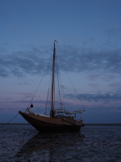Hoogaars - Platbodem Jacht — foto 3 van 52