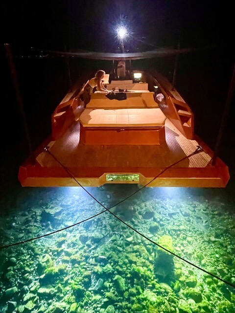 SAY Carbonyacht 42 - BluYachting — foto 6 van 12