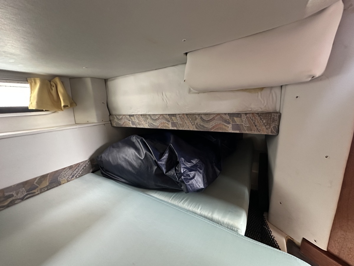 Sealine 255 Family — foto 21 van 26