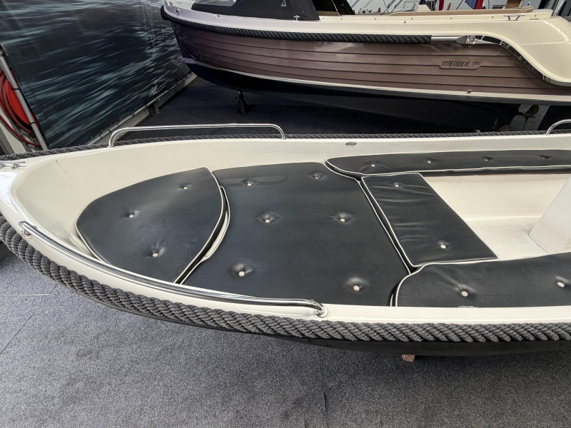 Family 430 Elegance + Haswing 4.0 elektromotor — foto 5 van 9
