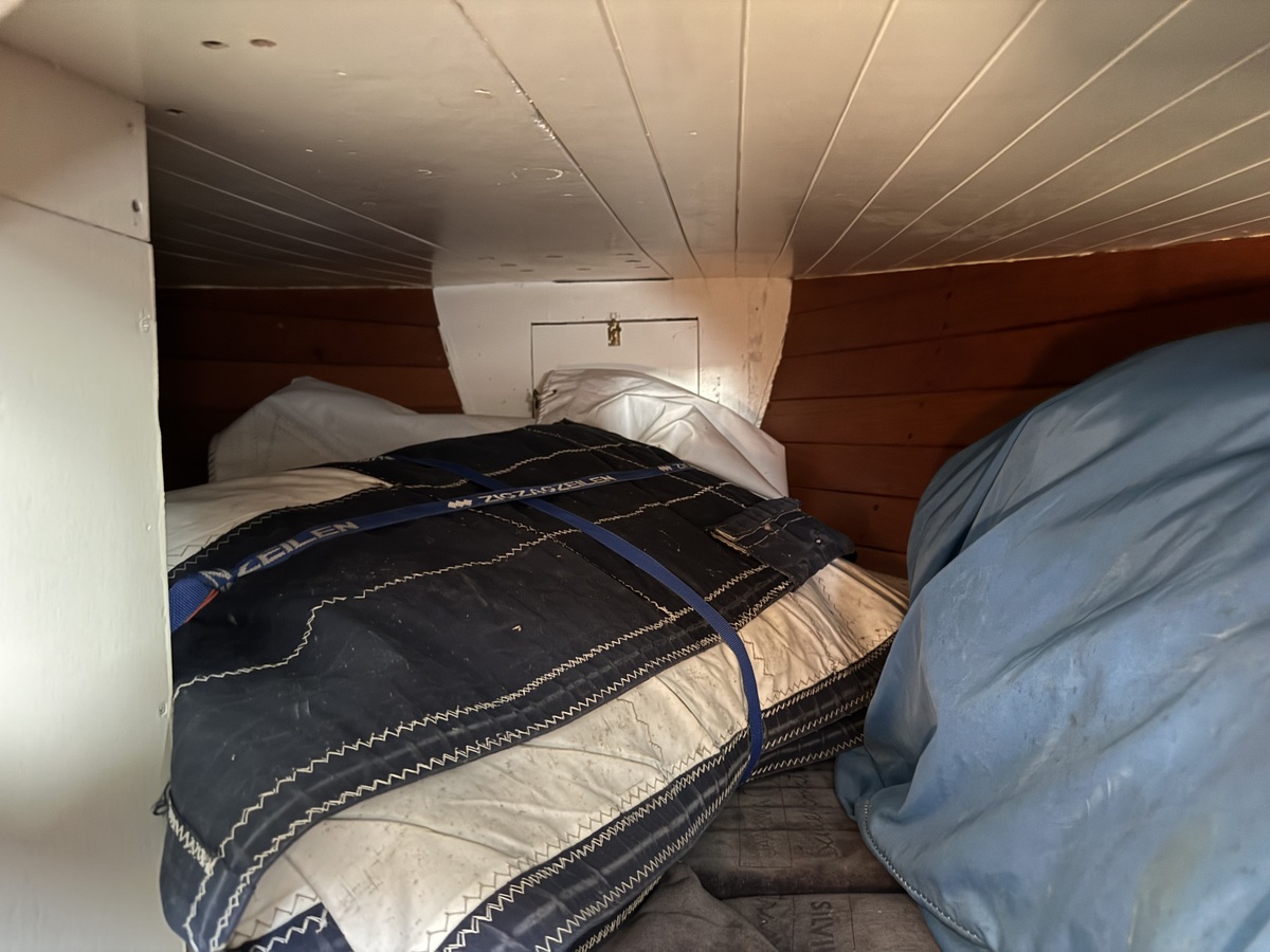 ORCA 38 — foto 28 van 74