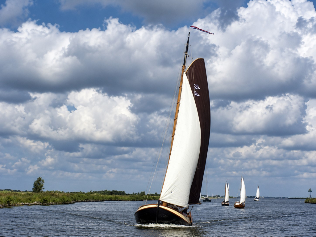 Lemsteraak Visserman 1120 - Blom — foto 48 van 49