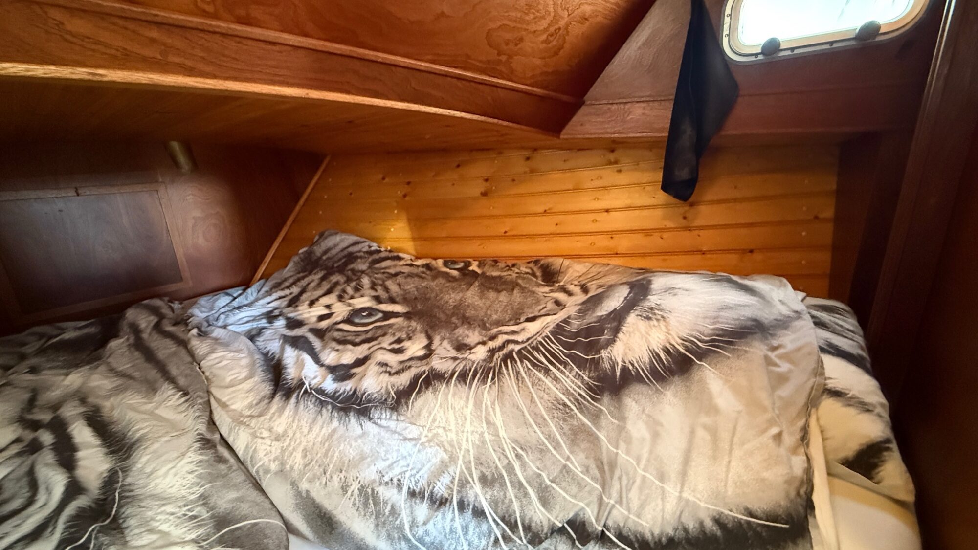 Valkkruiser Content 12.80 AK Cabrio — foto 16 van 38