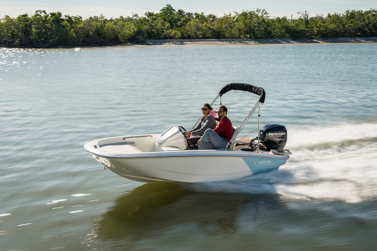 Boston Whaler 130 Super Sport — foto 4 van 18