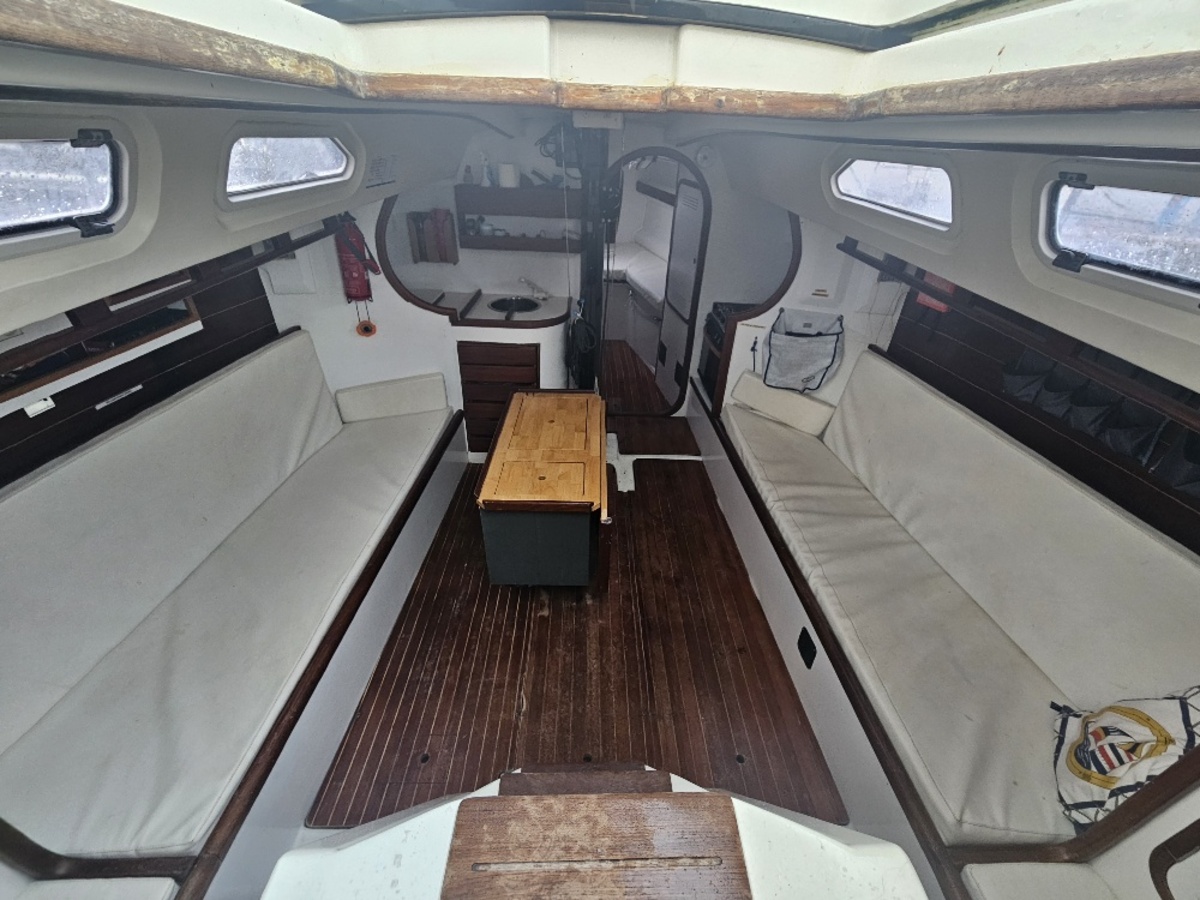Rodman 42 — foto 14 van 33
