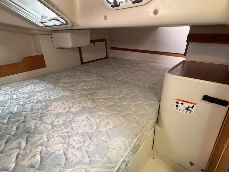 Catalina 320 — foto 6 van 43