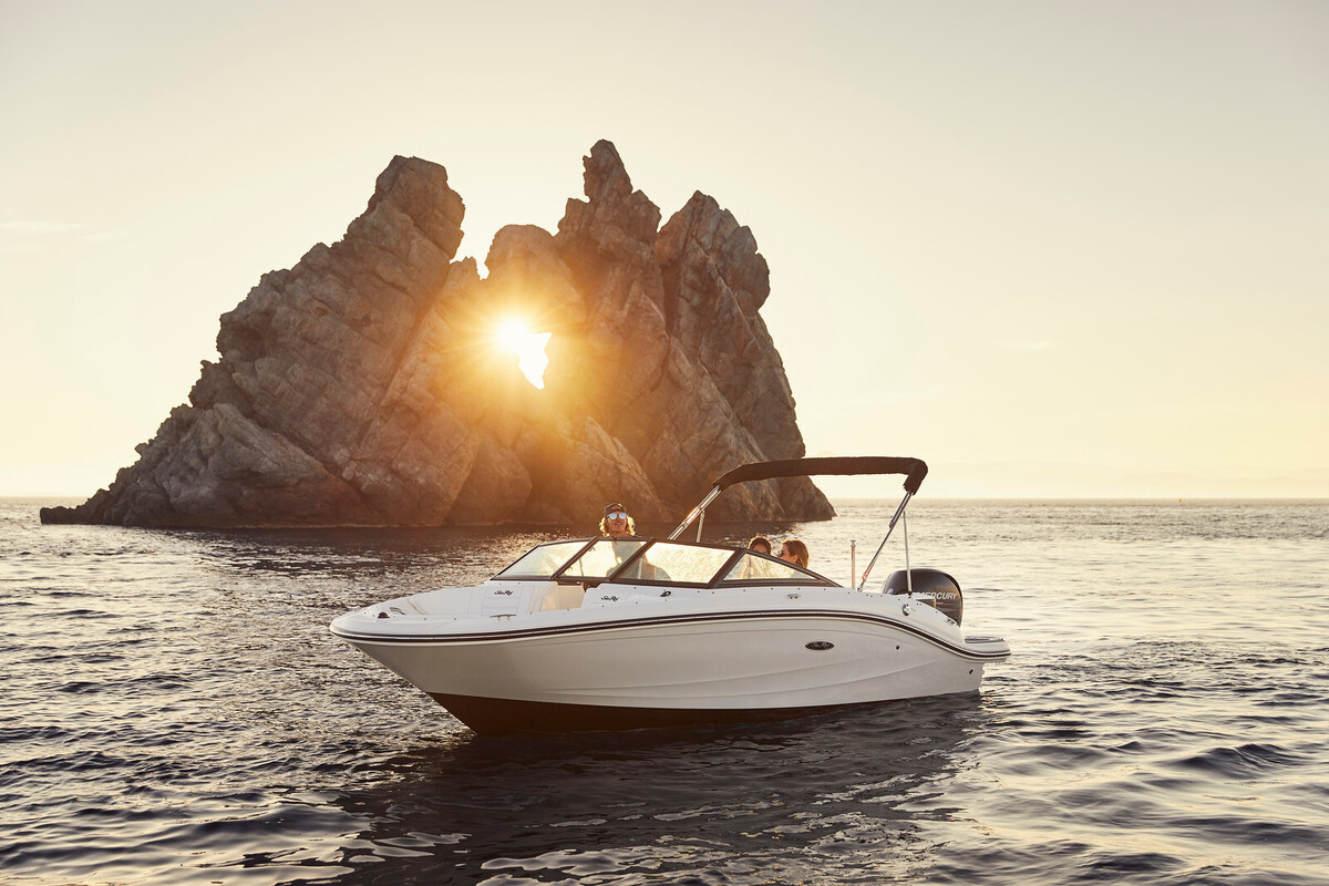 Sea Ray SPX 190 Outboard — foto 11 van 11