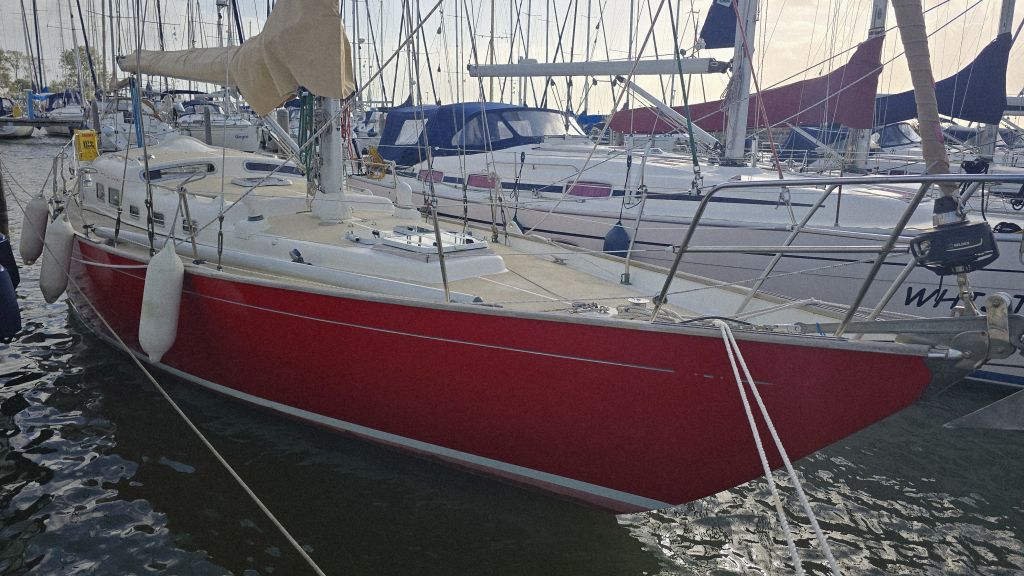 Rebel 41 — foto 6 van 36