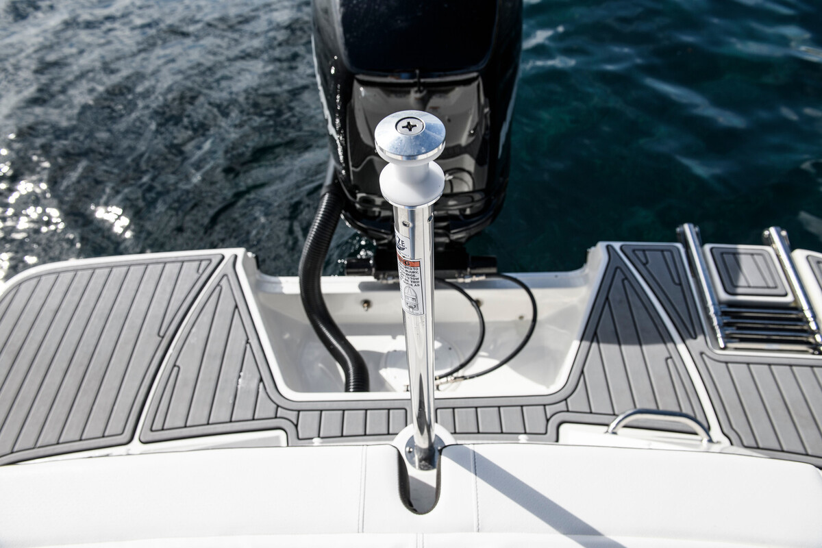 Sea Ray SPX 210 Outboard — foto 18 van 19
