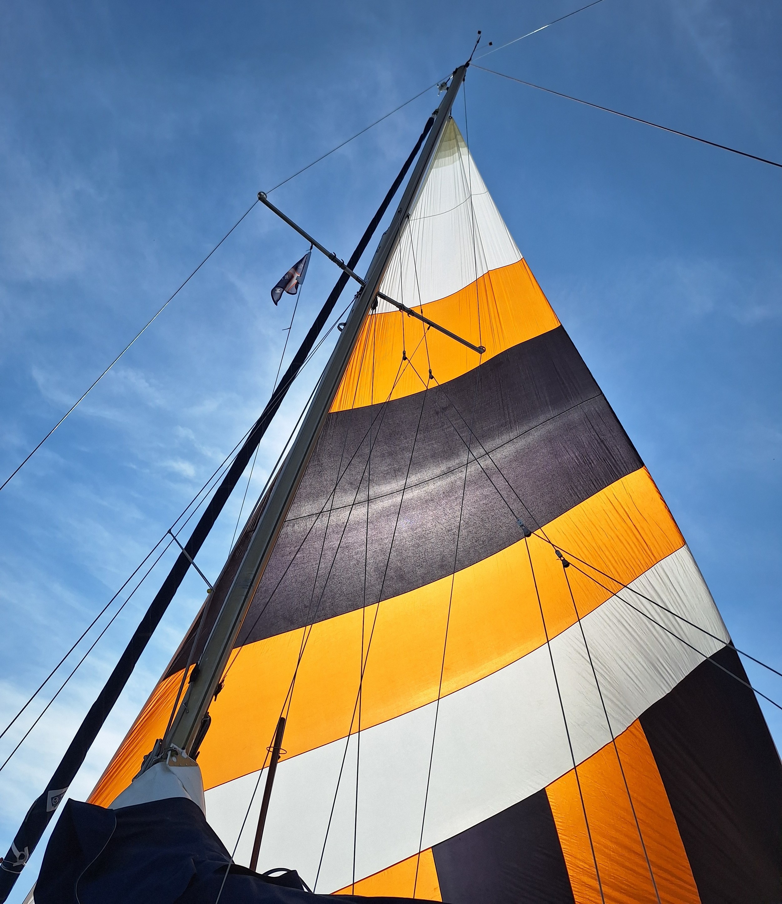 Argonaut 860 — foto 9 van 27