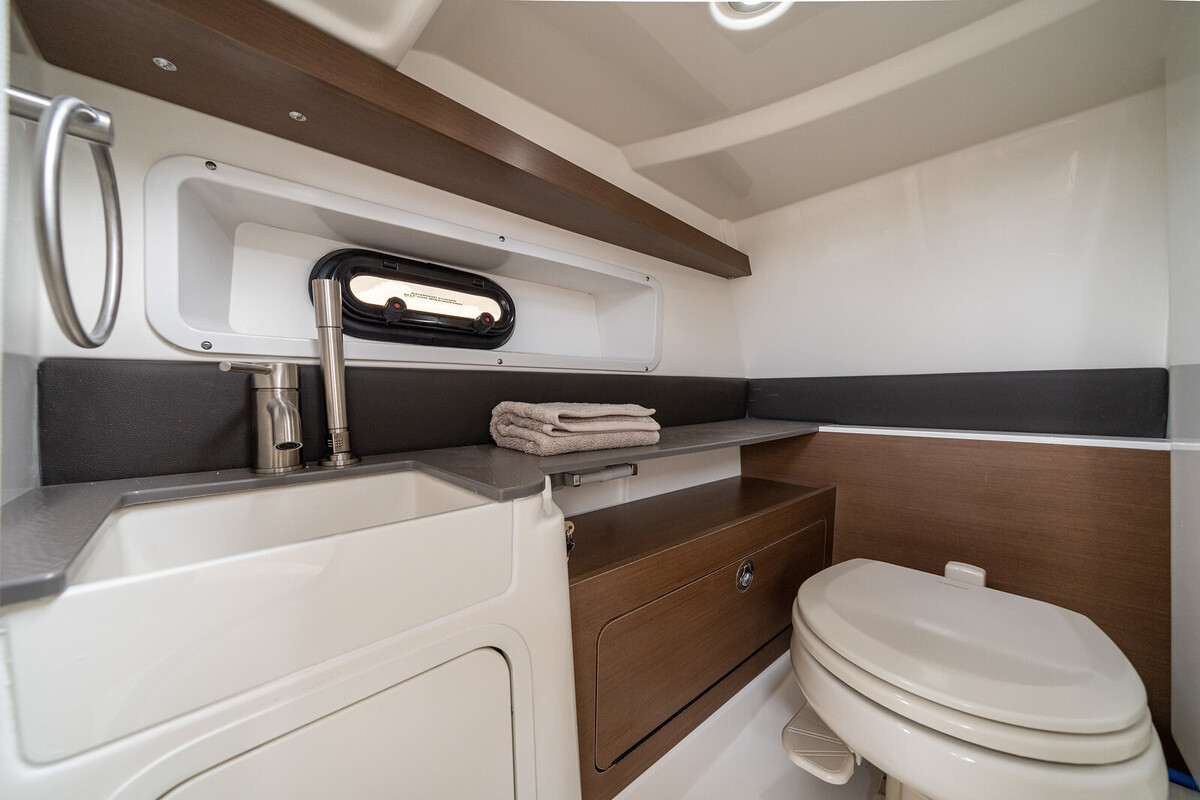 Sea Ray SDX 290 — foto 13 van 19