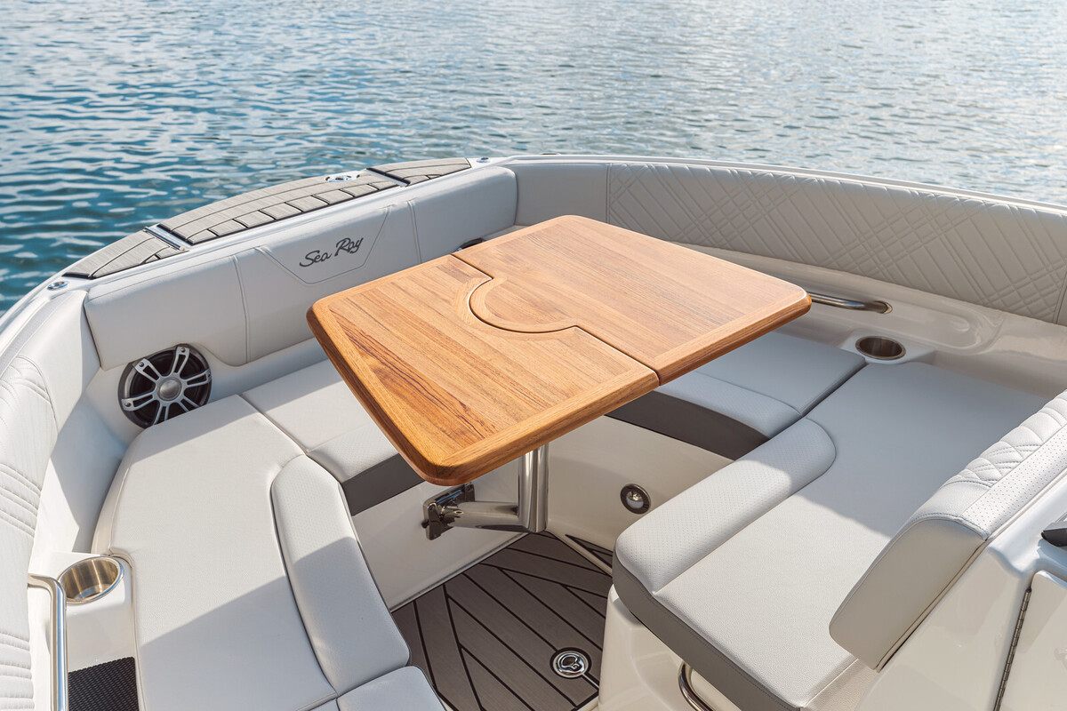 Sea Ray SDX 250 — foto 10 van 32