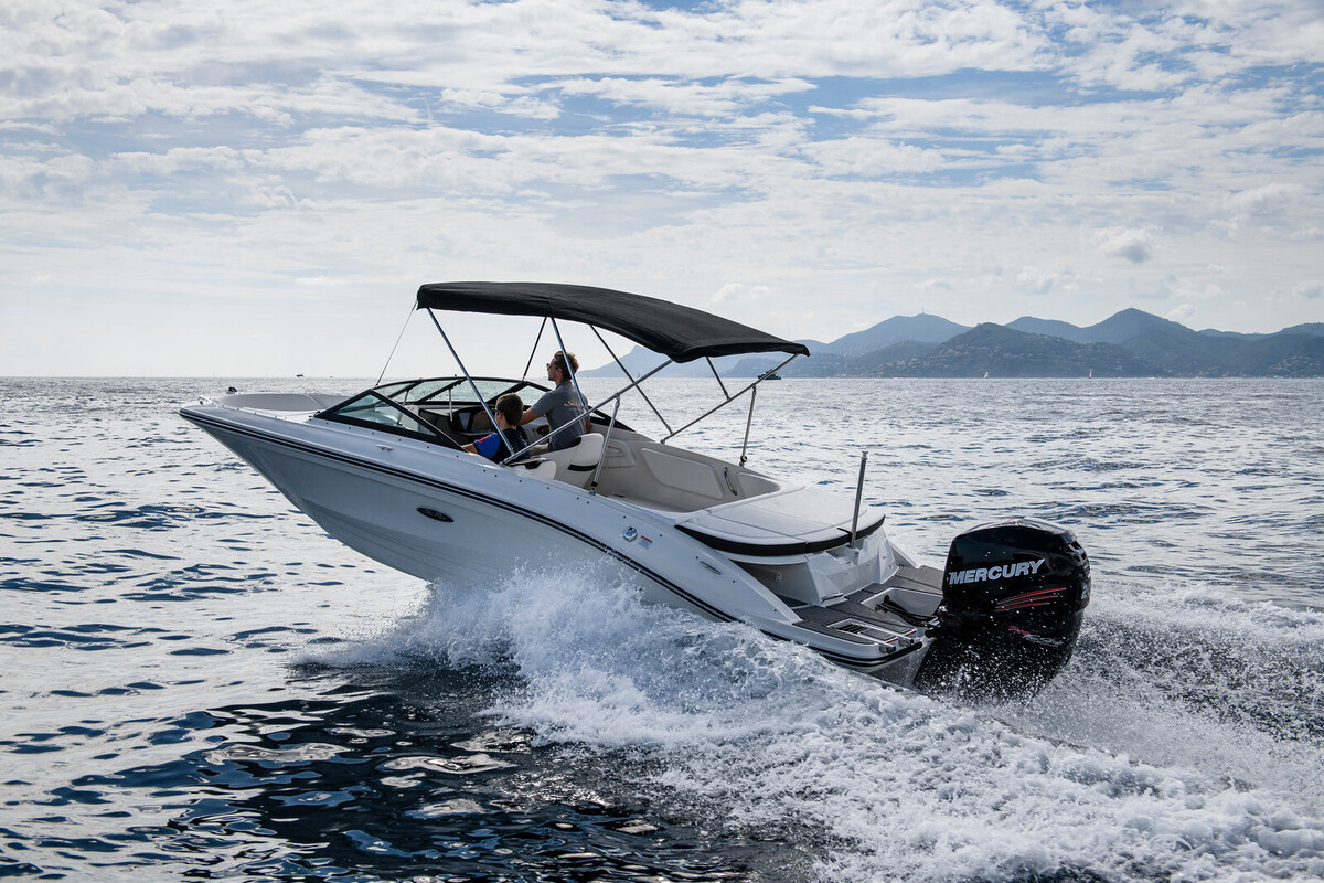 Sea Ray SPX 210 Outboard — foto 3 van 19