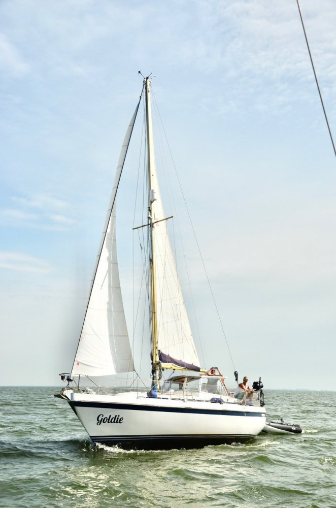 Contest - Sailing Yacht - GRP (Polyester) - 1979 - € 49.900 — foto 3 van 11