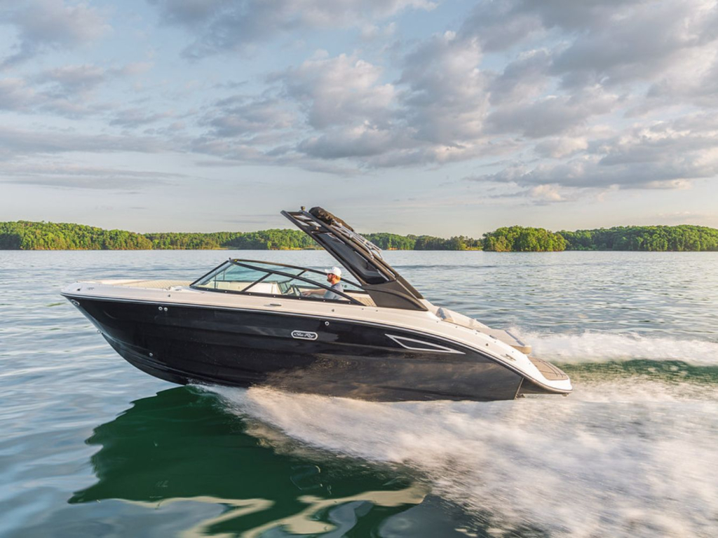 Sea Ray SDX 250 — foto 3 van 28