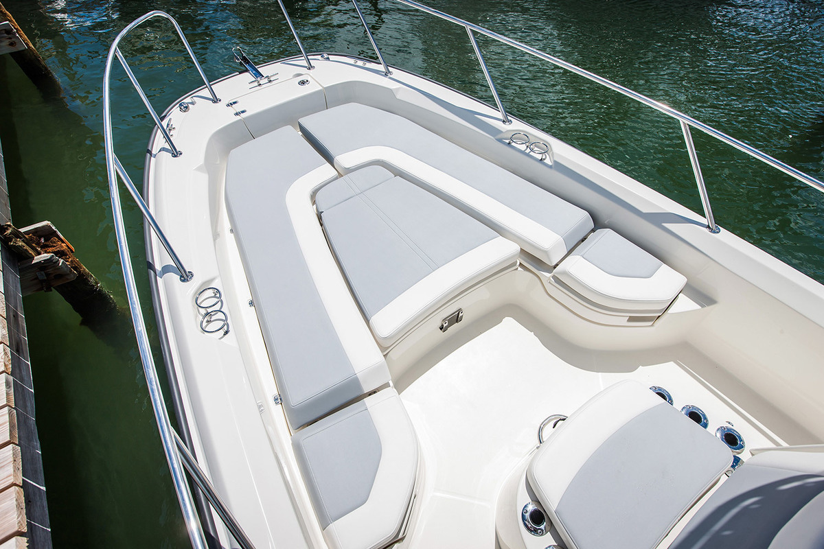 Boston Whaler 250 Dauntless — foto 6 van 12