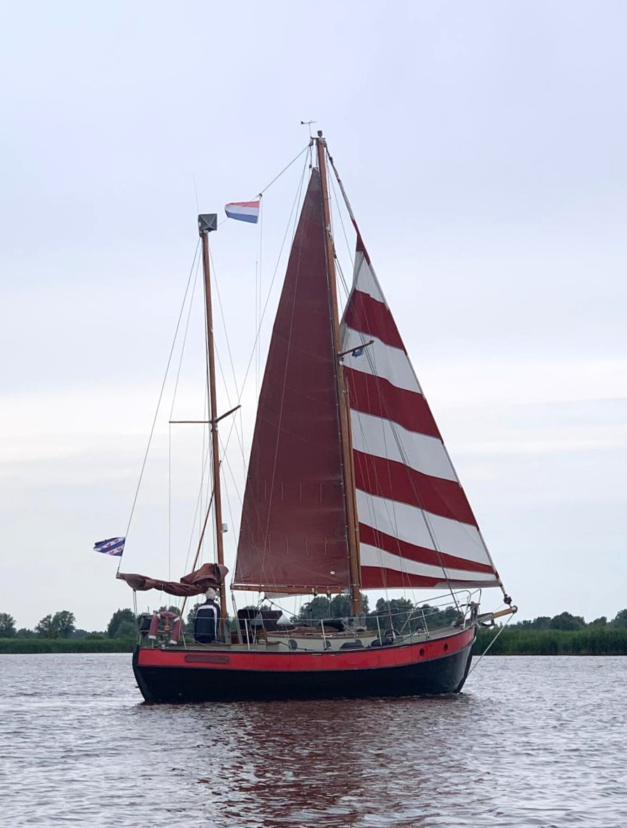 Danish Rose 31 — foto 4 van 23