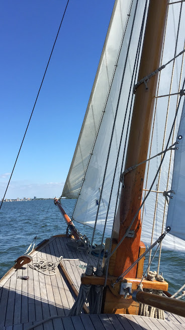 Van Der Meulen Zeeschouw 900 — foto 4 van 18