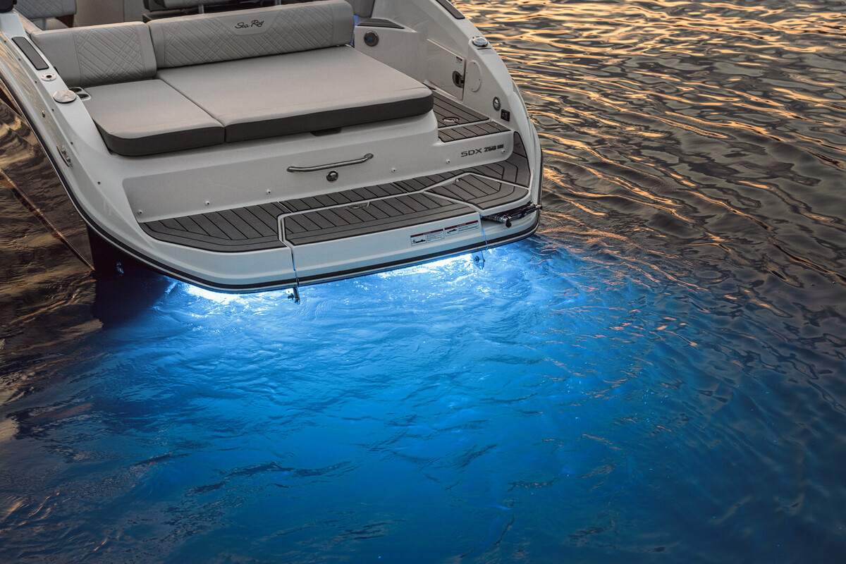 Sea Ray SDX 250 — foto 24 van 32
