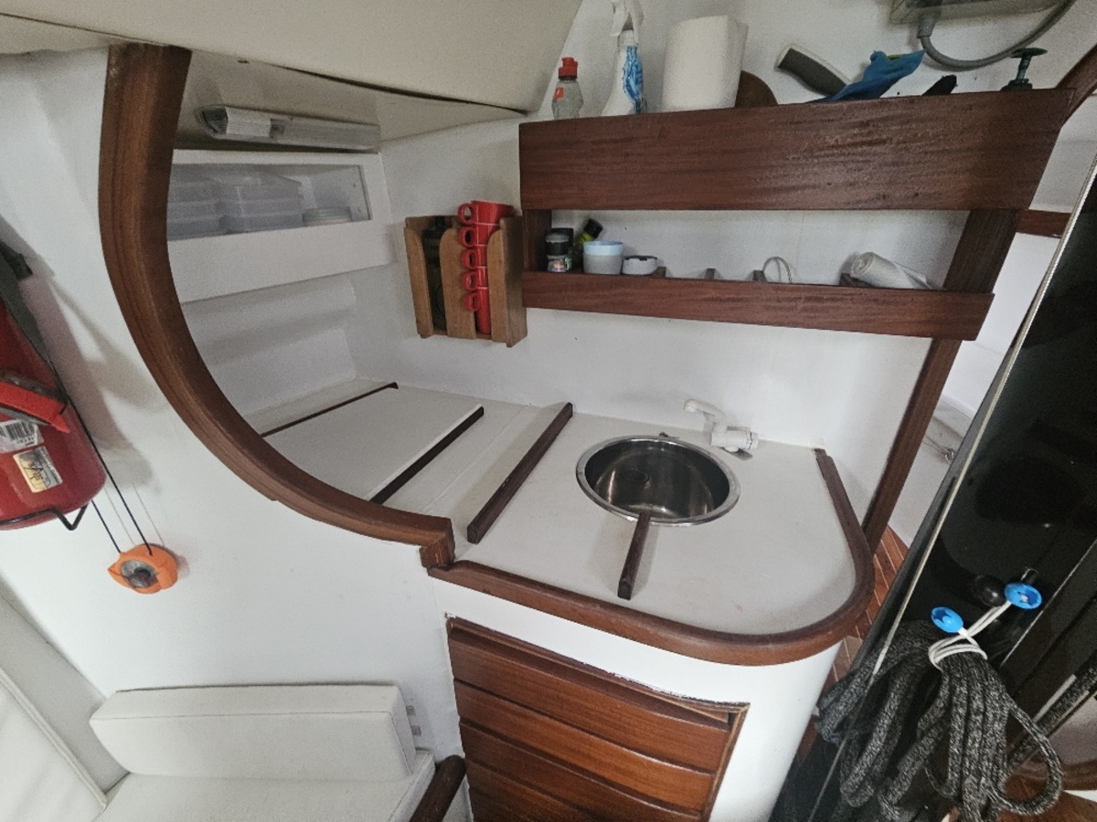 Rodman 42 — foto 16 van 33