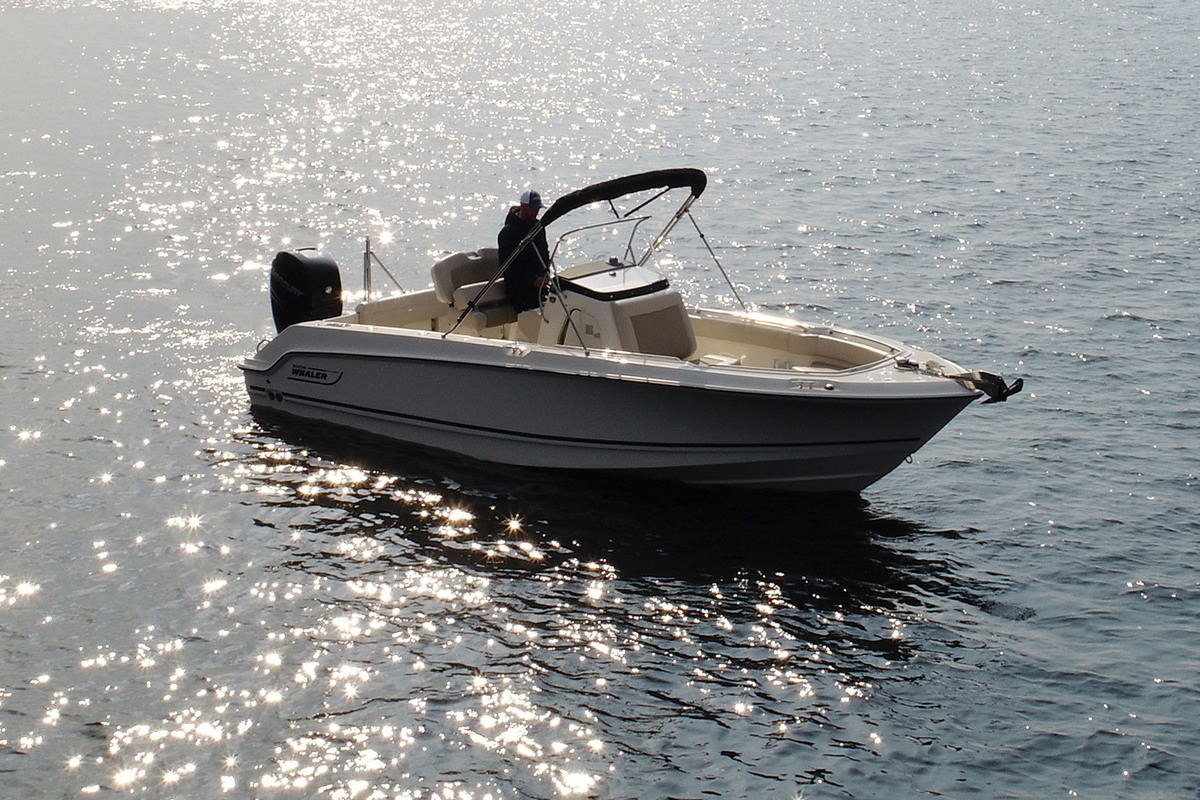 Boston Whaler 230 Outrage — foto 3 van 16