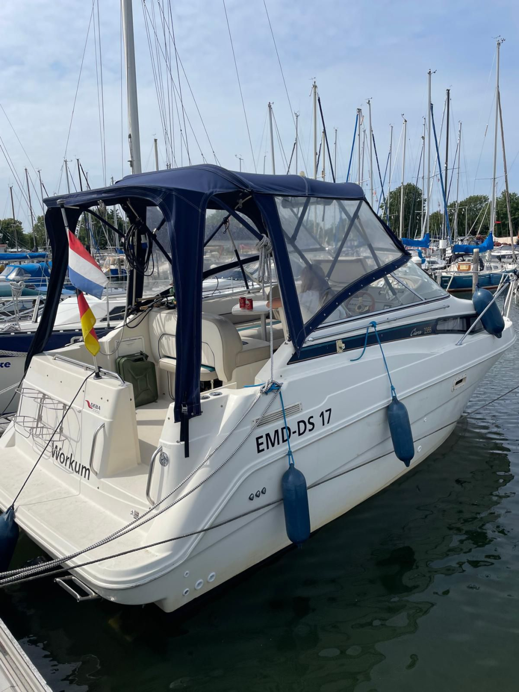 Bayliner 2355 — foto 6 van 20
