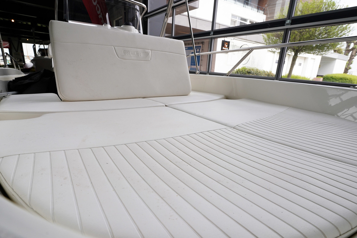Boston Whaler 170 Dauntless — foto 10 van 36