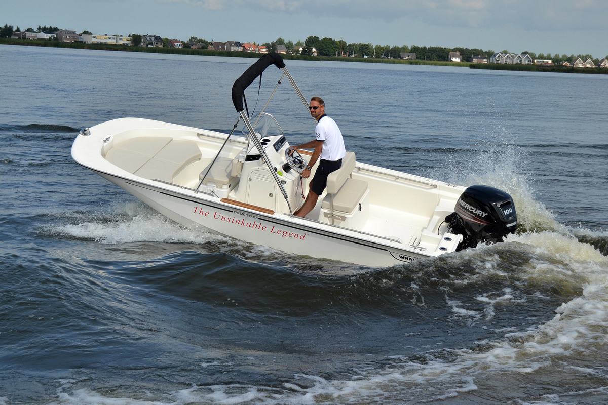 Boston Whaler 170 Montauk — foto 14 van 34