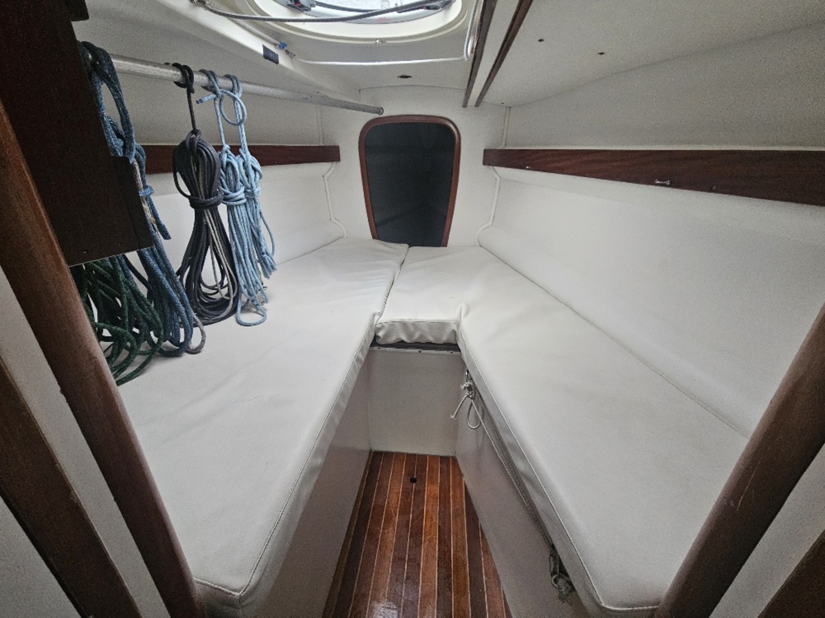 Rodman 42 — foto 25 van 33