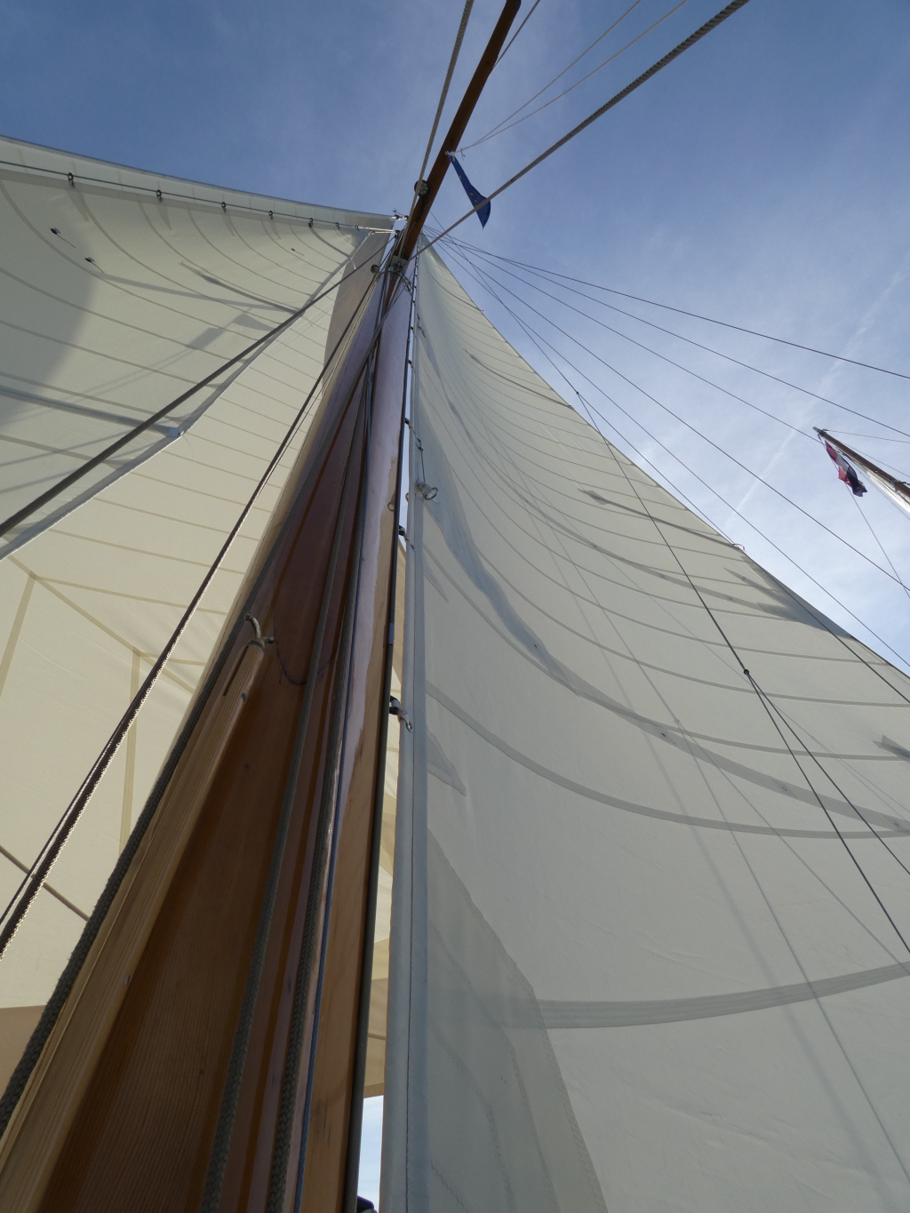 Cantiere Navale Postiglinio San Domenico — foto 14 van 73