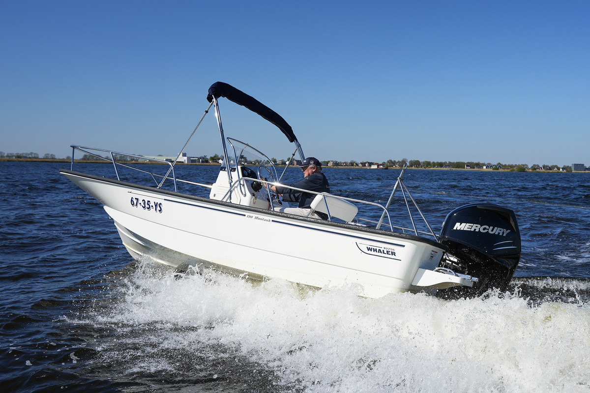 Boston Whaler 190 Montauk — foto 7 van 38