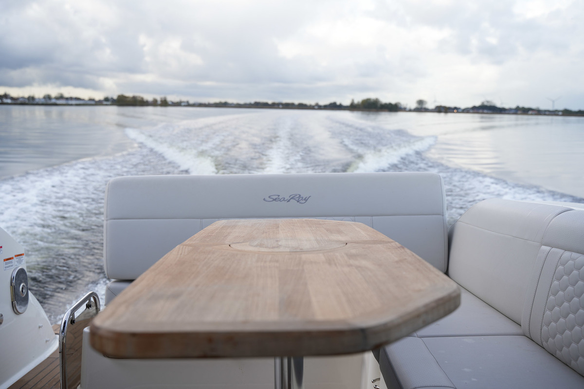 Sea Ray Sundancer 290 — foto 15 van 46