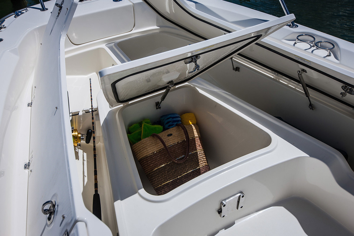 Boston Whaler 250 Dauntless — foto 8 van 12